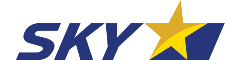 Авиакомпания «Skymark Airlines»